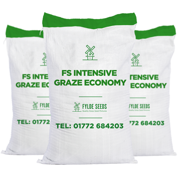 FS Intensive Graze Economy grass seeds