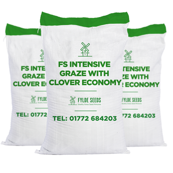 FS Intensive Graze with Clover Economy grass seeds