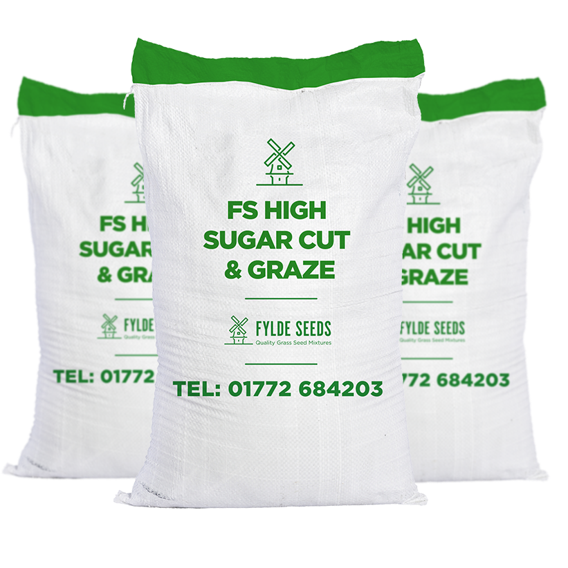 FS High Sugar Cut & Graze Seeds - Fylde Seeds